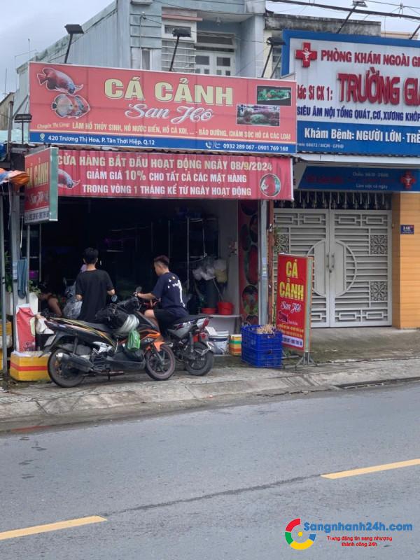 Cần Sang Nhượng Tiệm Cá Cảnh Ở Quận 12