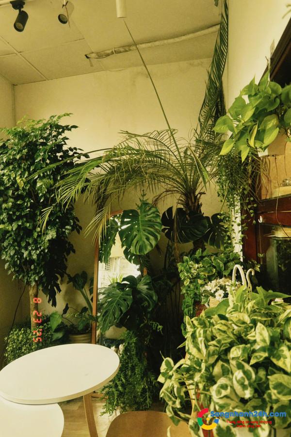 Sang quán cafe