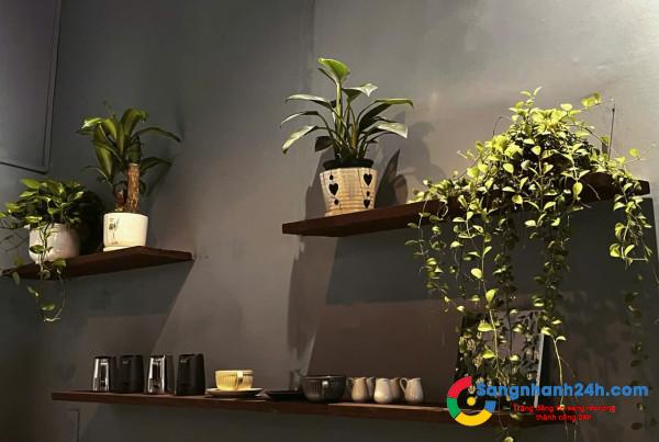 Sang quán cafe