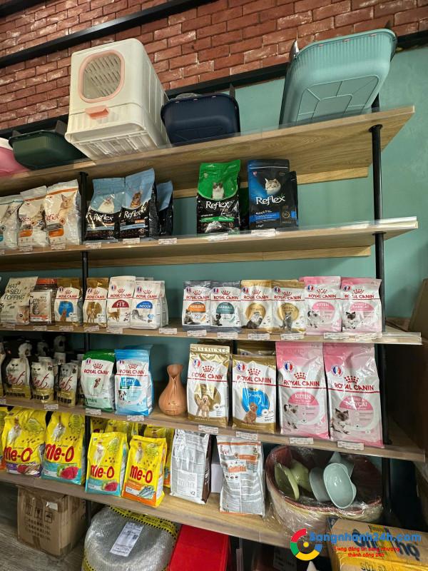 Sang cửa hàng thú nuôi