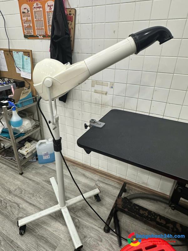 Sang cửa hàng thú nuôi